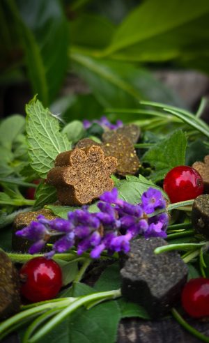 Kaltegepresste Soft-Drops auf Bett aus Kräutern, verziert mit Lavendel und roter Johannisbeere